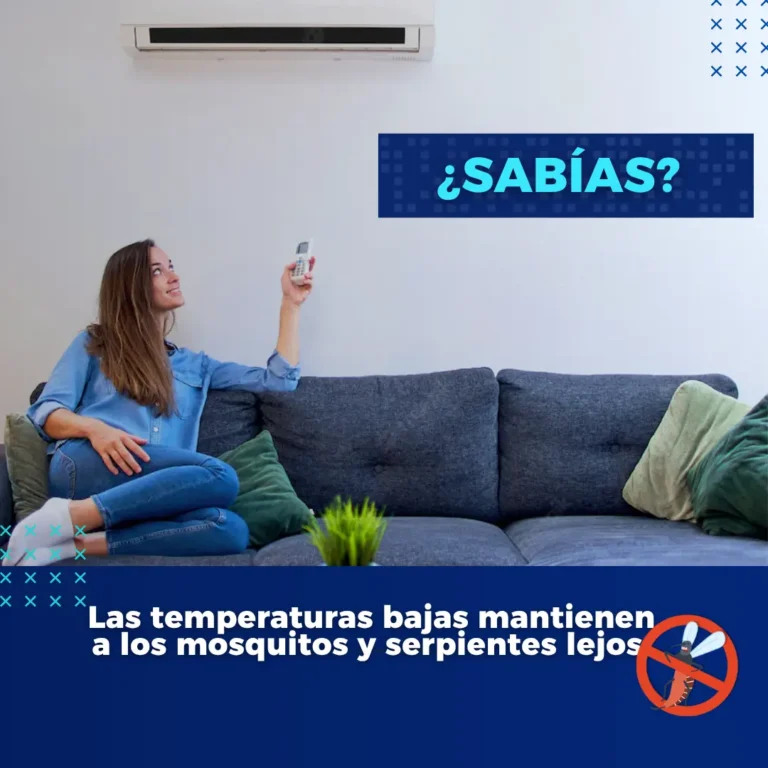 AnyConv.com__Espanhol (50)