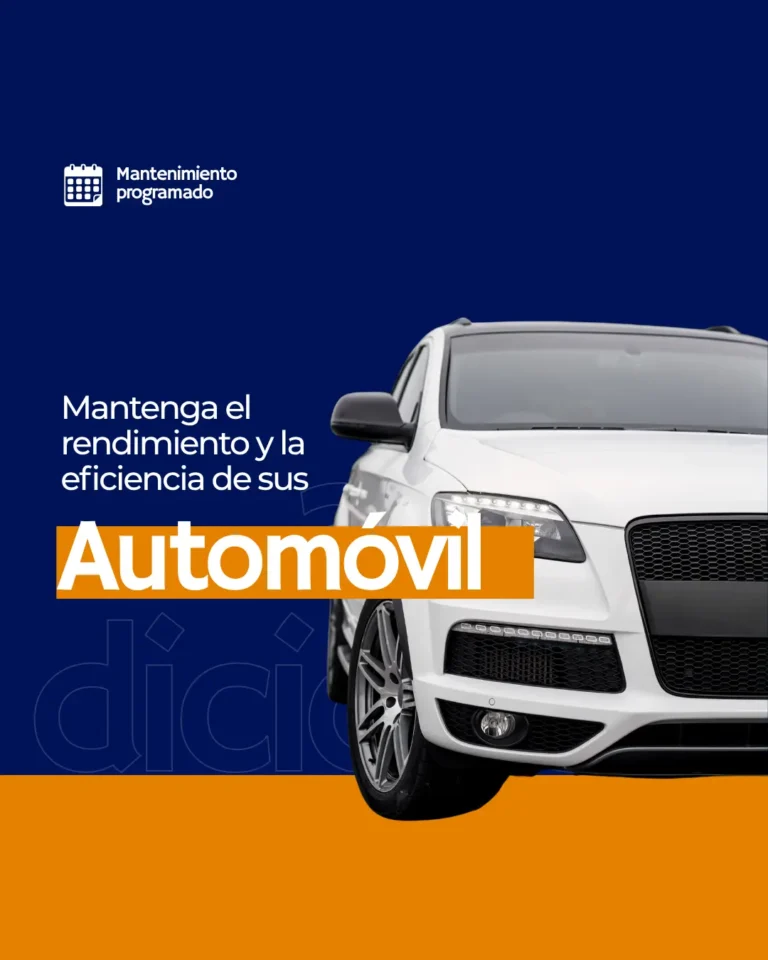 AnyConv.com__Espanhol (6)